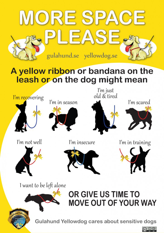 yellow nervous dog harness