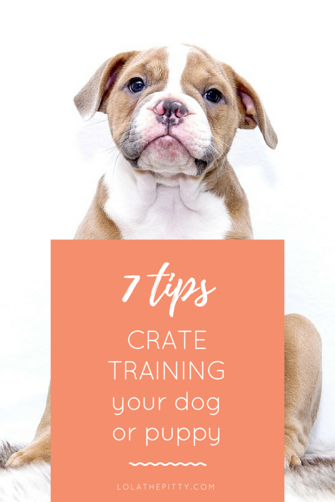 7 Tips for Crating your dog or puppy! www.lolathepitty.com