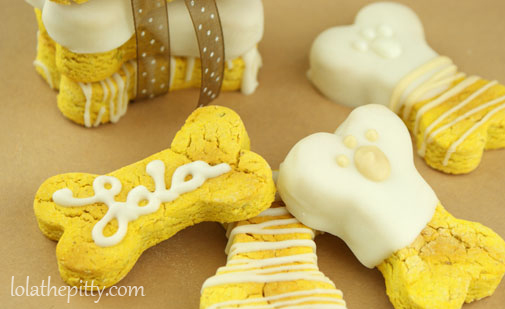 Lola's Homemade Pumpkin Dog Biscuits - @lolathepitty