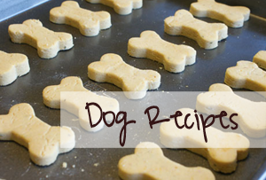 Dog Recipes