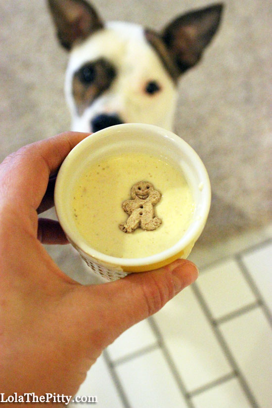 Homemade Dog Egg Nog recipe - www.lolathepitty.com