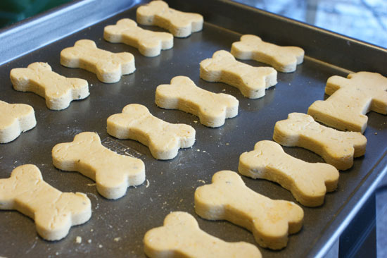 Lola's Homemade Pumpkin Dog Biscuits