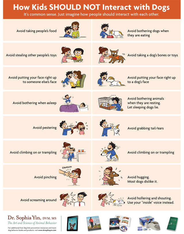 How Kids SHOULD NOT Interact With Dogs - Lola The Pitty 'My Dog Bit My Child' - poster via Dr. Sophia Yin