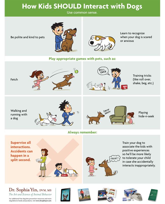 How Kids SHOULD Interact With Dogs - Lola The Pitty 'My Dog Bit My Child' - poster via Dr. Sophia Yin