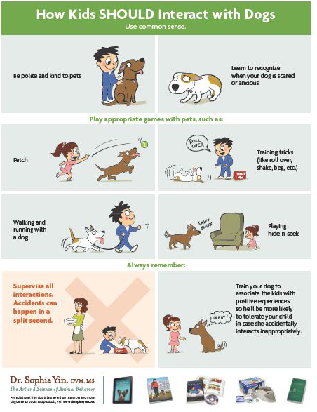 Dog Safety With Children - www.lolathepitty.com