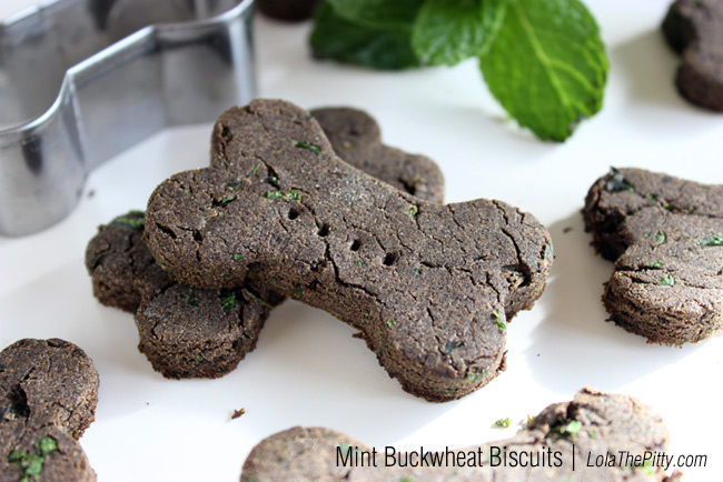 Homemade Mint Buckwheat Dog Biscuits