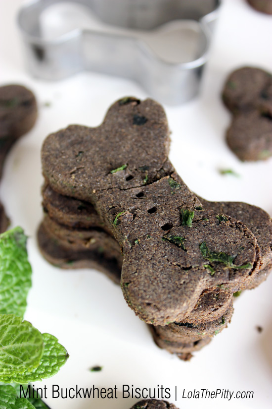 Homemade Mint Buckwheat Dog Biscuit Recipe | LolaThePitty.com