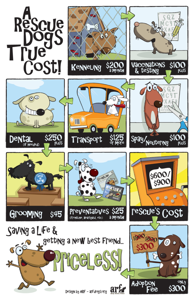 rescue-dogs-true-cost