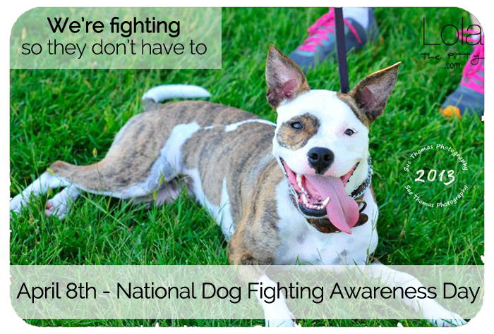 We're fighting so they don't have to. #NDFAD @lolathepitty