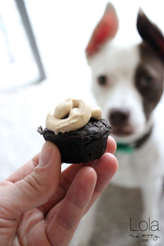 carob-pupcakes-lolathepitty-16b