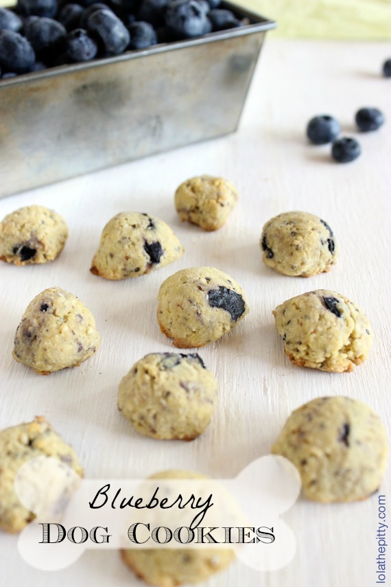 Blueberry Dog Cookies - simple & healthy DIY snack for your dog! Lolathepitty.com