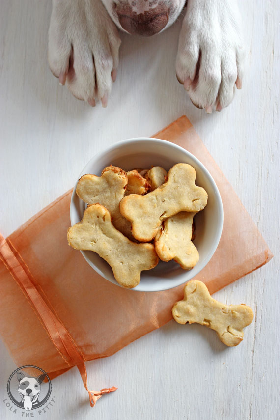 Ginger Apple Dog Treat Recipe - lolathepitty.com