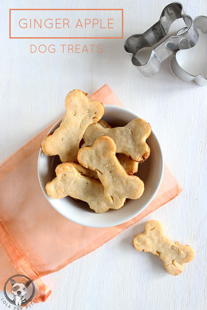 Ginger Apple Dog Treat Recipe - lolathepitty.com