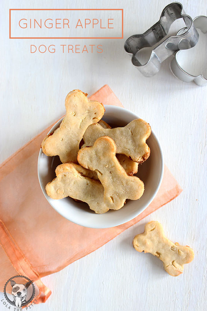 apple dog treats recipe