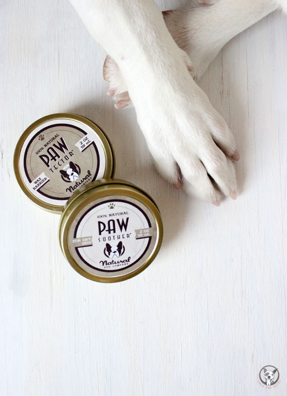 Natural Dog Company Paw Products Review + Giveaway! lolathepitty.com