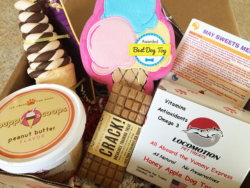 Pooch Party Packs Subscription Box | Review | Lolathepitty.com