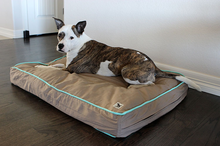 Molly Mutts Dog Bed Giveaway and Review - Lolathepitty.com