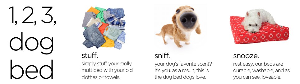 stuff-sniff-snooze-header-1