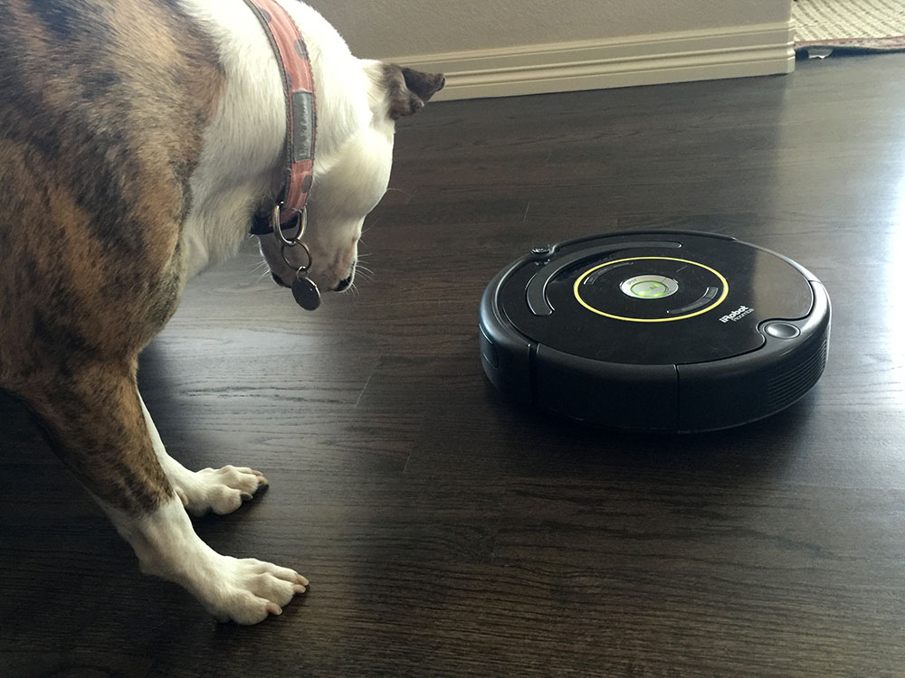 Lola-Roomba