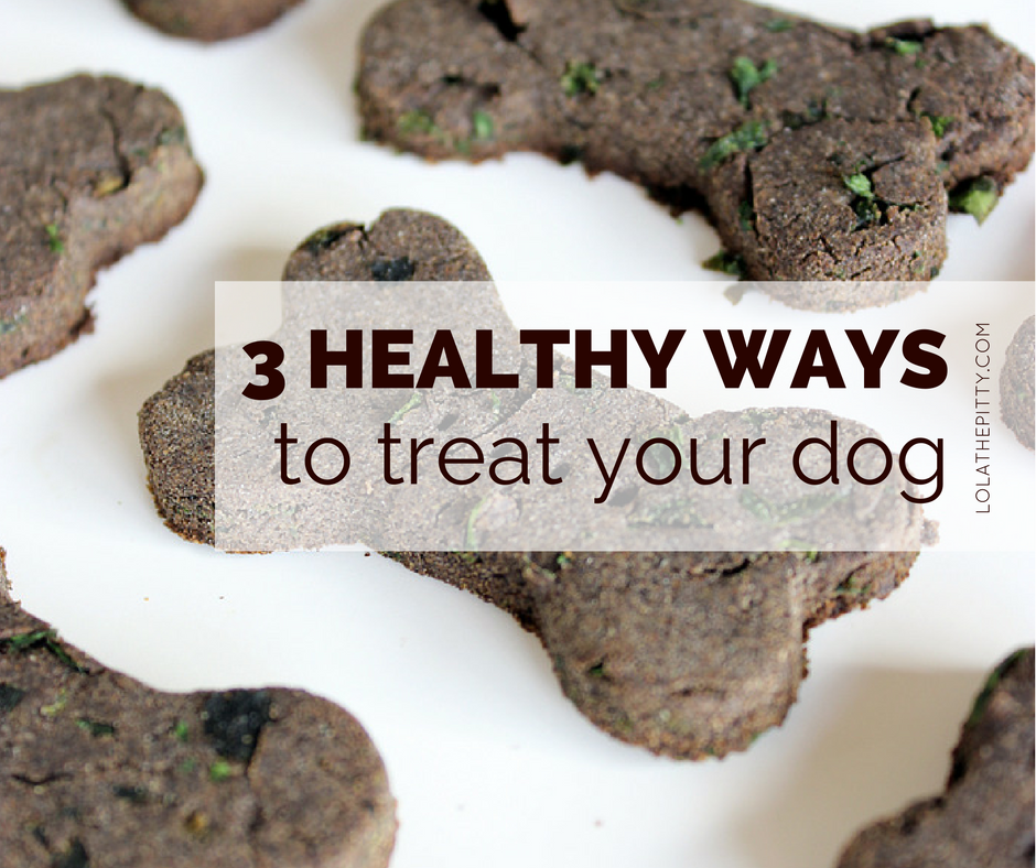 3 Healthy Ways to Treat Your Dog - lolathepitty.com