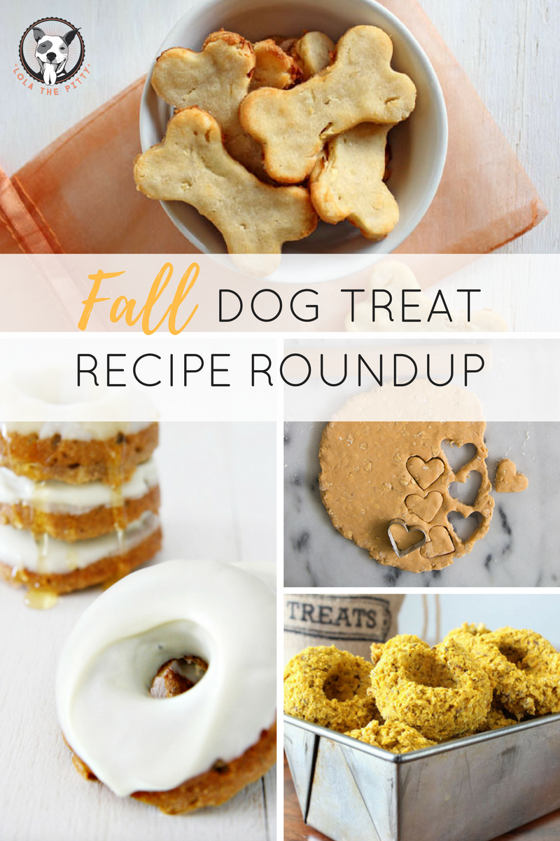 Fall Dog Treat Recipe Roundup - Lolathepitty.com