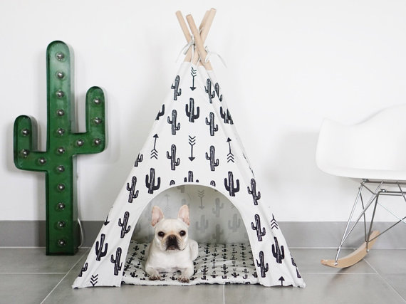 dog-teepee