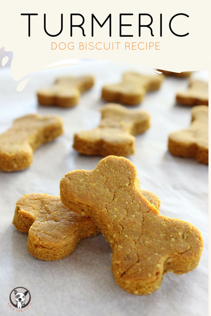 Turmeric Dog Treat Recipe via Lolathepitty.com!