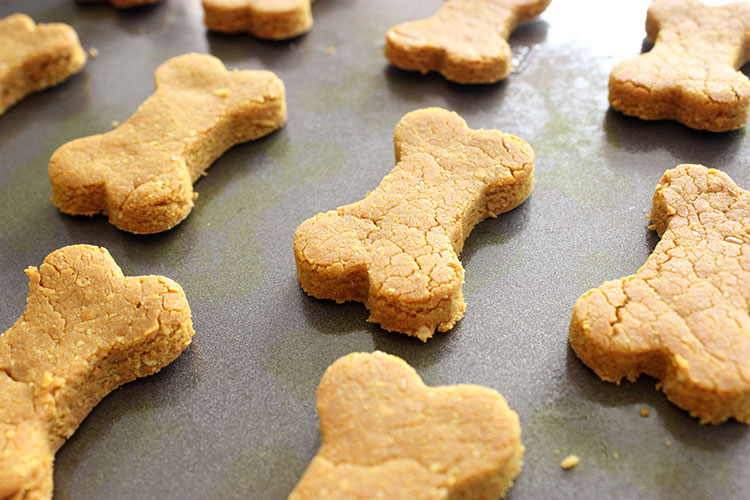 Turmeric Dog Treat Recipe via Lolathepitty.com