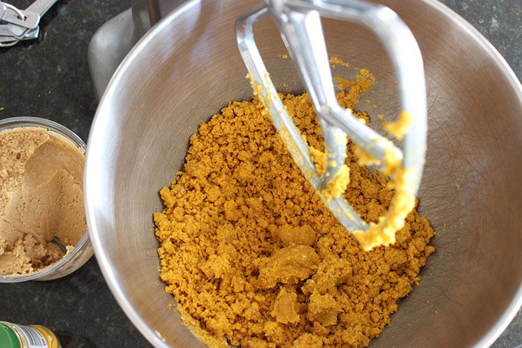 Turmeric Dog Treat Recipe via Lolathepitty.com