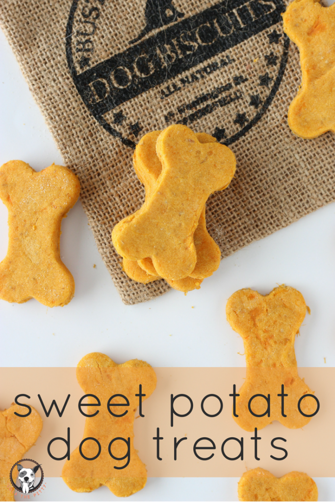 Sweet Potato Dog Treat Recipe - lolathepitty.com