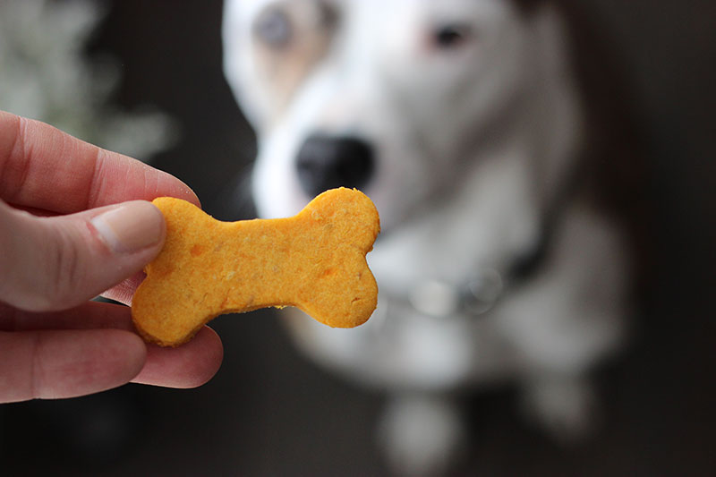 Sweet Potato Dog Treat Recipe - lolathepitty.com